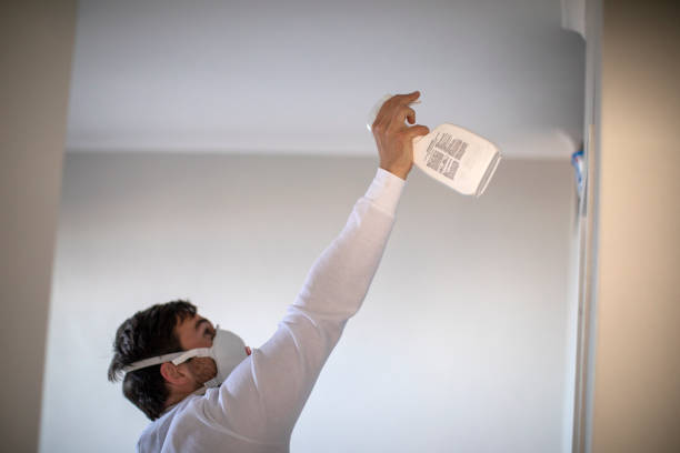 Best Affordable Mold Removal  in Lima, OH